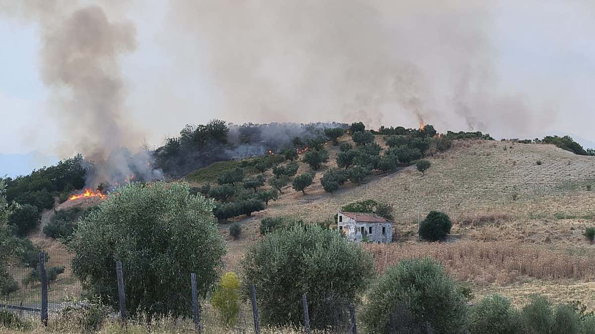 Vasto incendio tra Teramo e Canzano [FOTO]