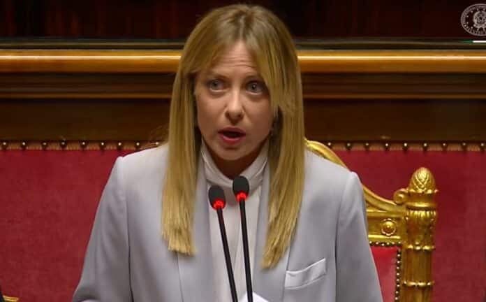 meloni amendolara
