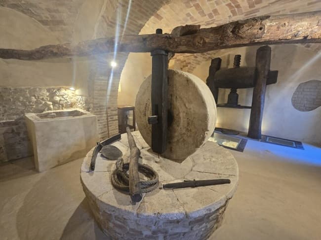 Sant’Omero presenta il nuovo Museo dell’Olio