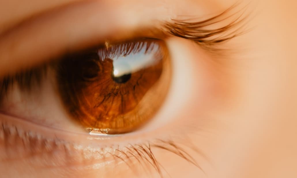 Importanti progressi dell'optogenetica in una patologia retinica