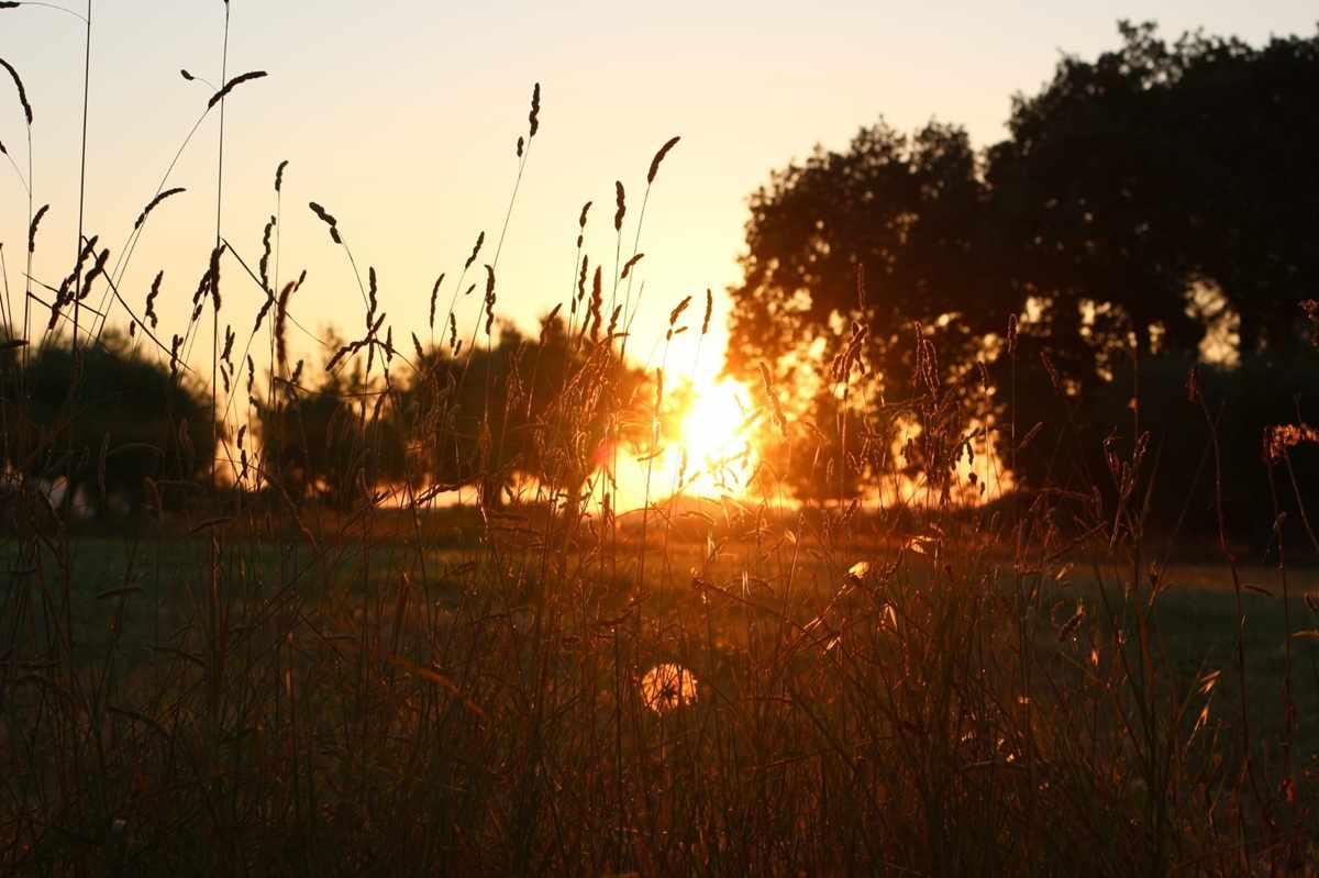 Nepezzano, successo per “L’InCanto dell’alba”: musica all’alba nel Parco San Lorenzo