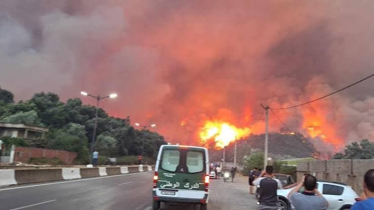 Incendi in Algeria: almeno 69 vittime e numerosi feriti